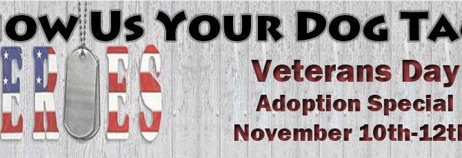 Veterans Day Adoption Special