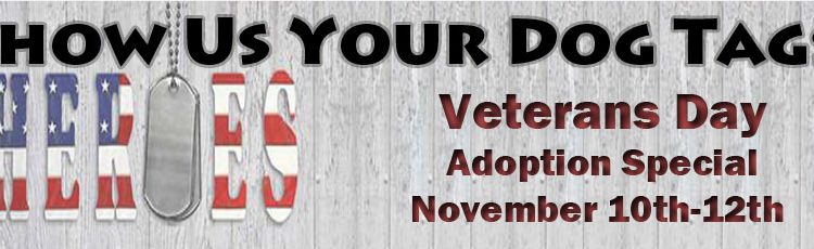 Veterans Day Adoption Special