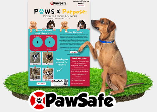 PawSafe Newsletter