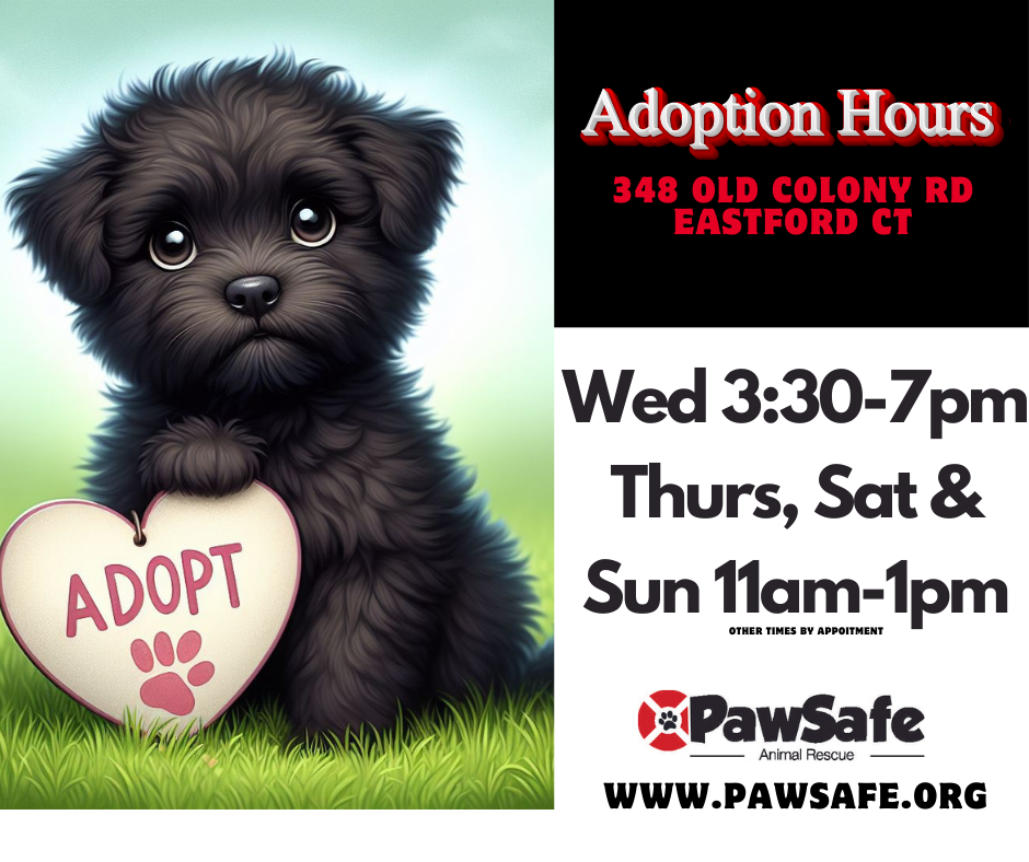 PawSafe Adoption hours - Eastford CT