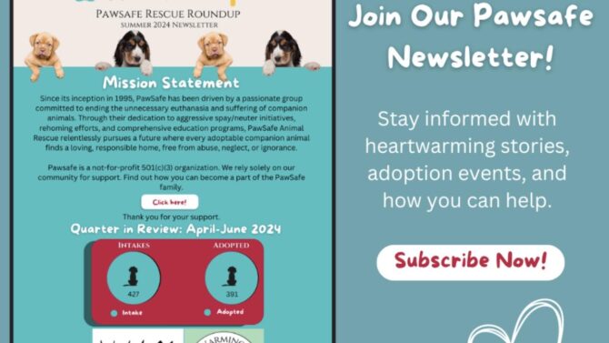 PawSafe 2024 Summer Newsletter