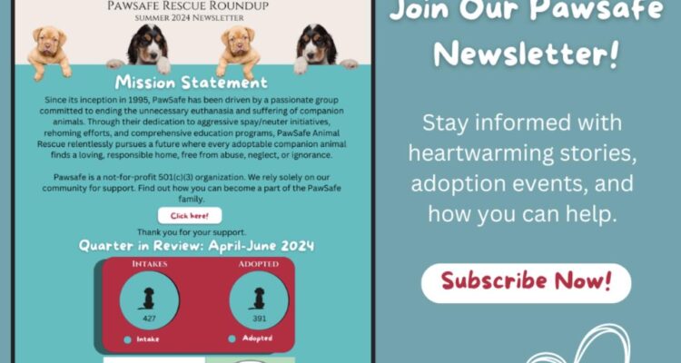 PawSafe 2024 Summer Newsletter