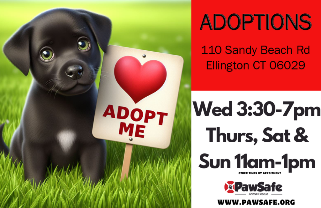 Ellington adoptions