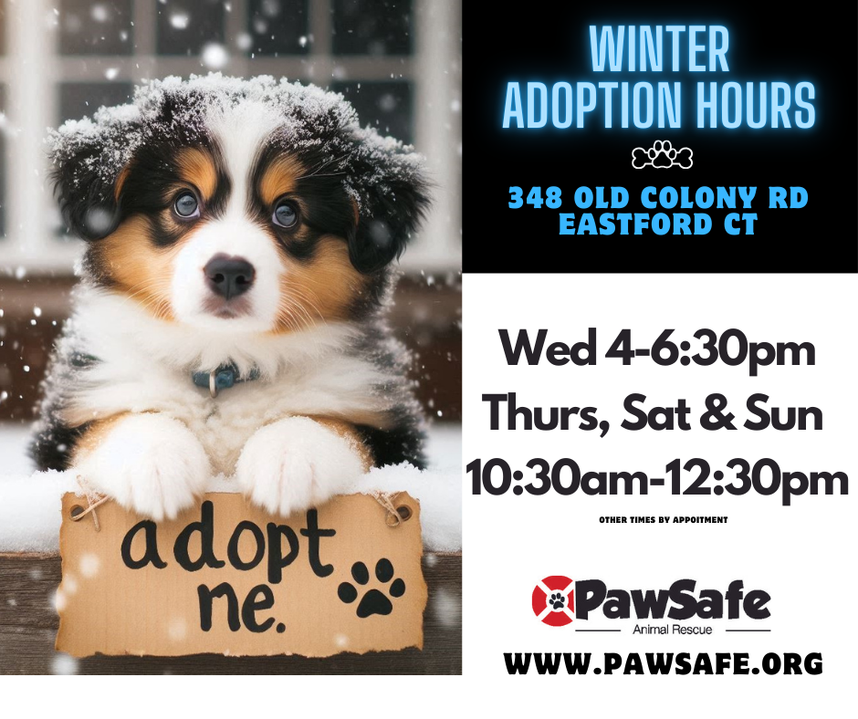 PawSafe - Eastford CT Adoption hours